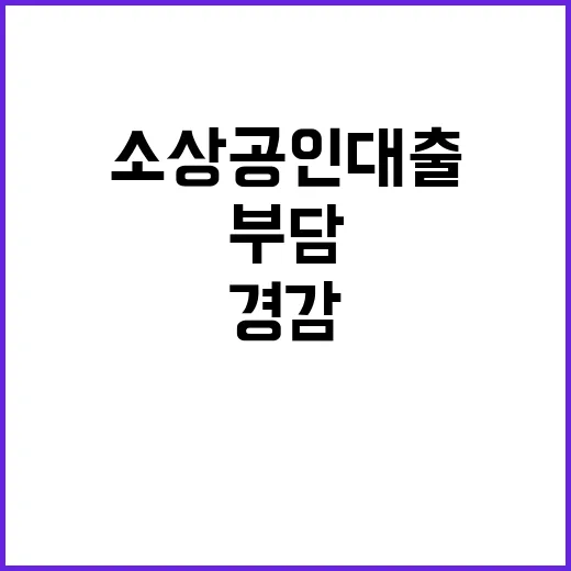 소상공인 대출 부담…