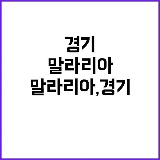 말라리아, 경기 남…