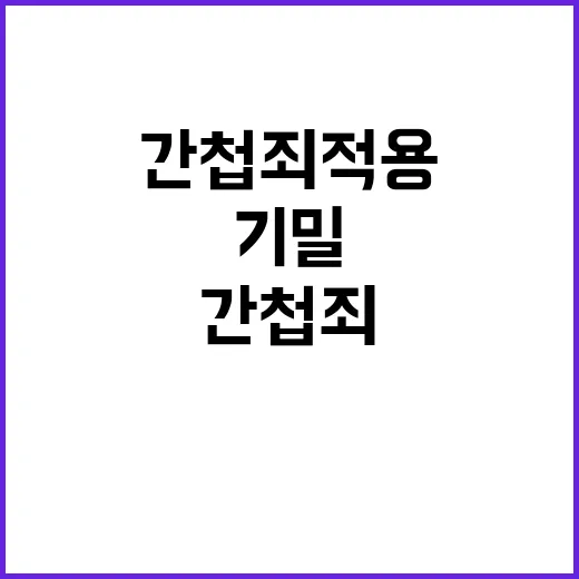 기밀 유출, 간첩죄…