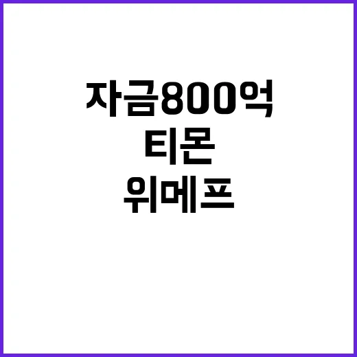 자금 800억, 티…