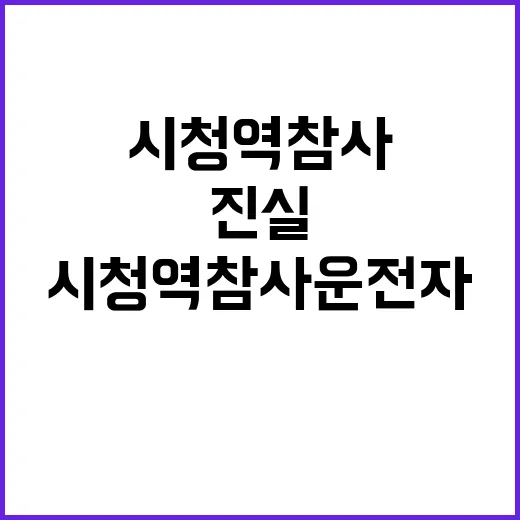 시청역 참사 운전자 구속, 진실은 무엇인가?