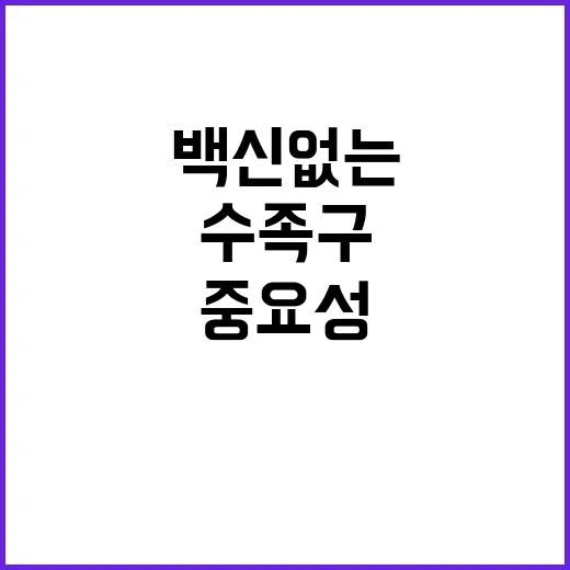 수족구, 백신 없는 상황에서 개인위생 중요성!