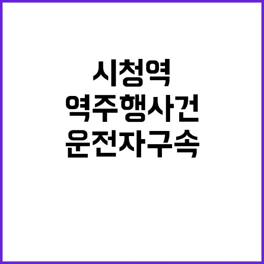 역주행 사건, 서울 시청역 운전자 구속!