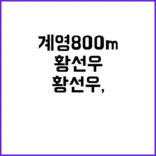 황선우, 계영 800m 집중 결정…준결승 포기!