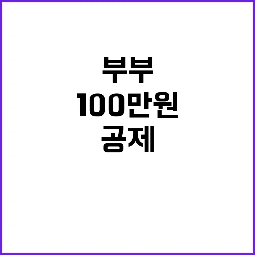 세법 개정안 결혼 부부 세액공제 100만원 혜택!