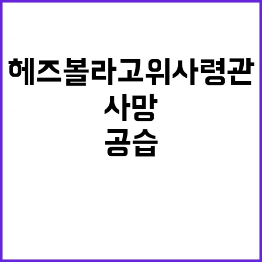 헤즈볼라 고위 사령관, 베이루트 공습 사망 사례!