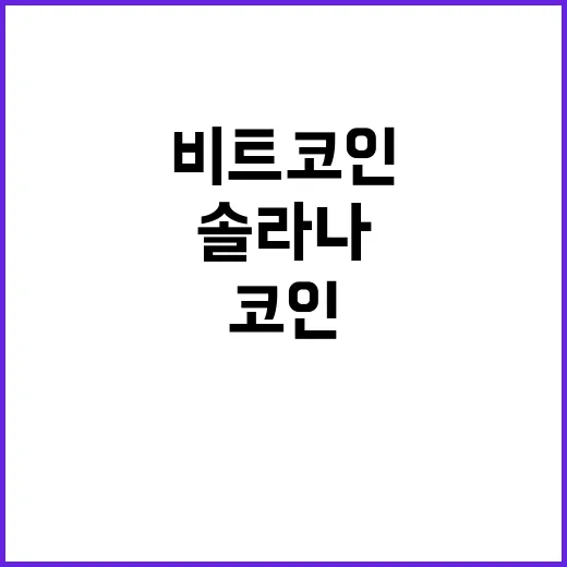 리플·솔라나, 비트코인 대체 투자처로 급부상!