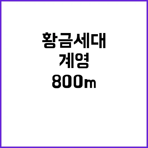 황금세대 계영, 800m 6위로 대기록 완성!