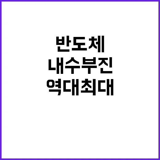 반도체 역대 최대 기록, 내수 부진은 왜?