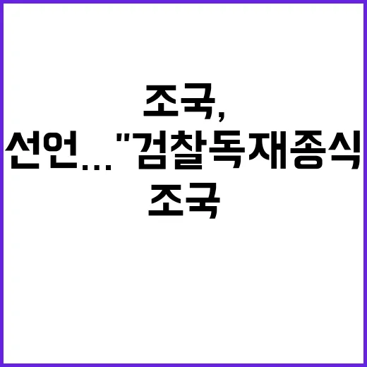 조국, 