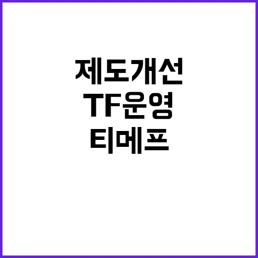 금감원, 티메프 제도개선 위해 TF 운영 시작!