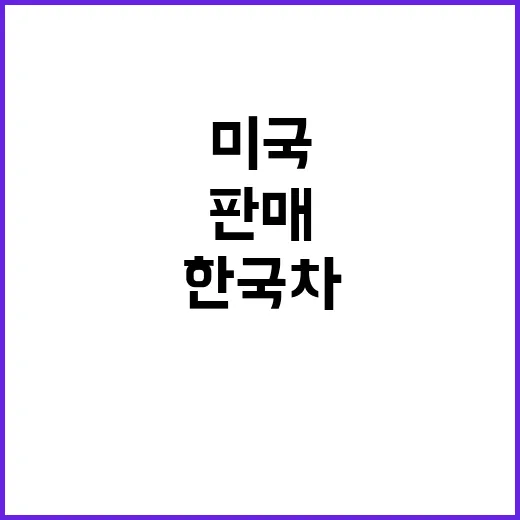 한국차 판매, 미국…