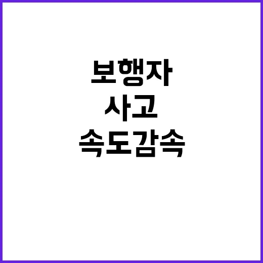 사고 원인 보행자와 울타리, 속도 감속의 비밀