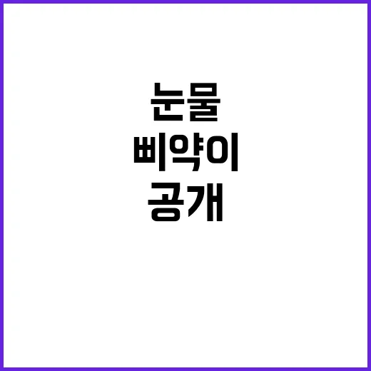 삐약이의 눈물, 그…