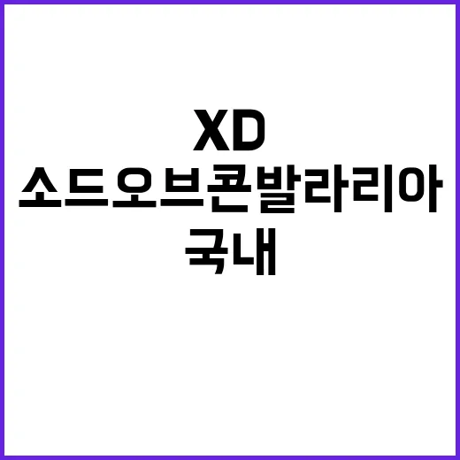 소드 오브 콘발라리아, XD엔터의 국내 출시 소식!