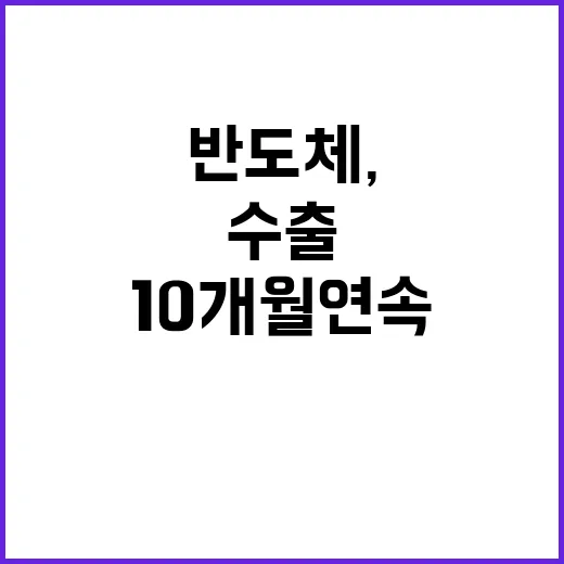 반도체, 10개월 연속 수출 성장의 비밀 공개!