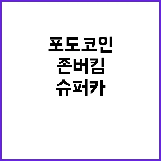 포도코인 존버 킴,…