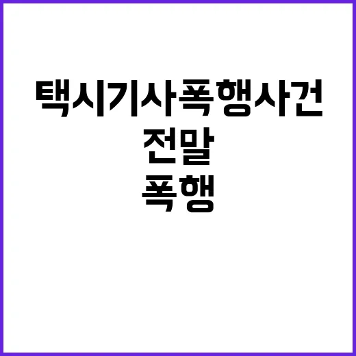 승객, 택시기사 폭행 사건의 전말 공개!