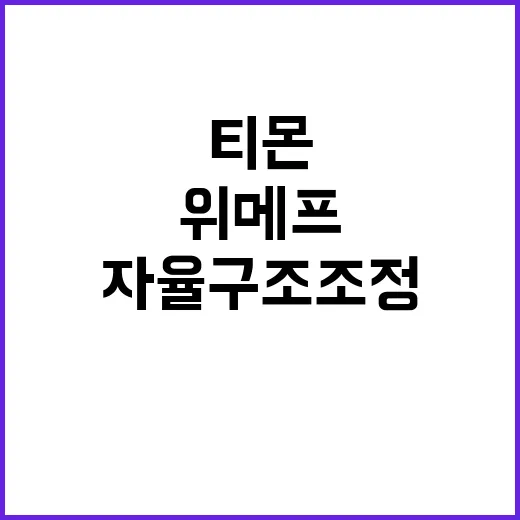 자율구조조정, 티몬…