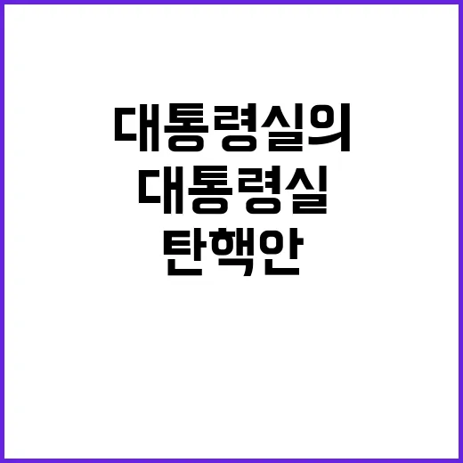 탄핵안 처리, 대통…