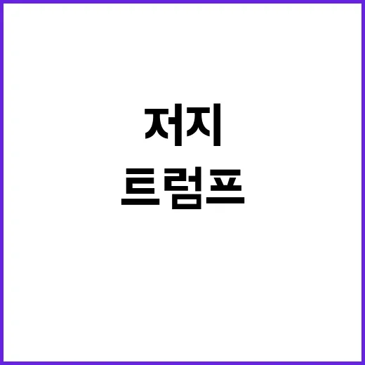 언더독 트럼프, 해…