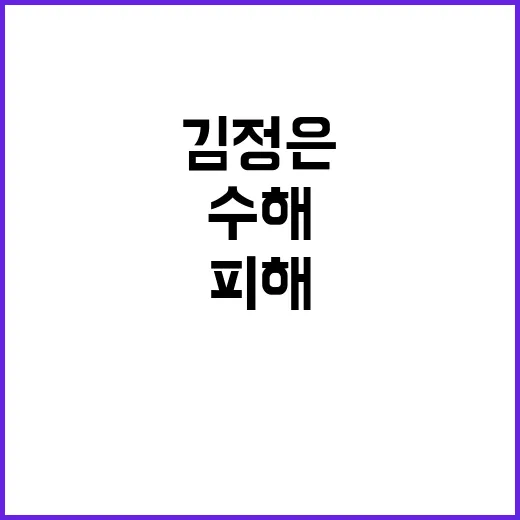 수해 진실, 인명피…