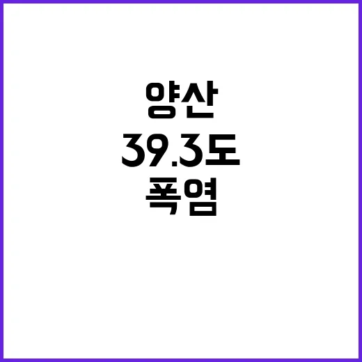 폭염 경북 양산 39.3도, 여름 불청객 등장!