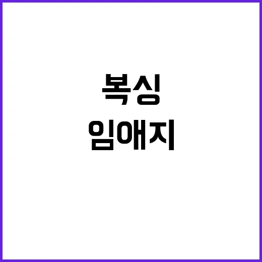 퍼펙트 데이즈, 필…