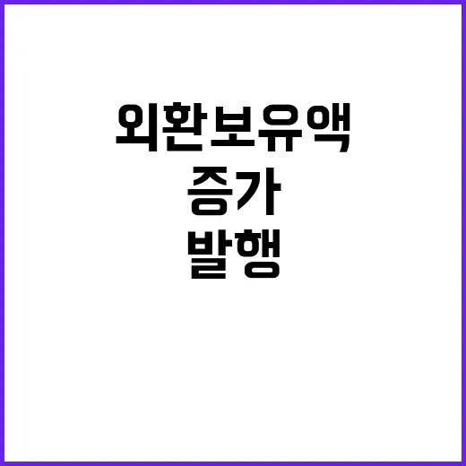 외환보유액 증가, 채권 발행의 숨겨진 비밀