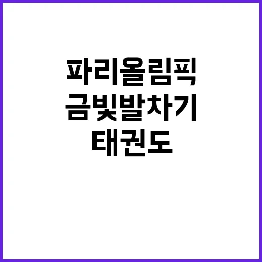 태권도 금빛 발차기…