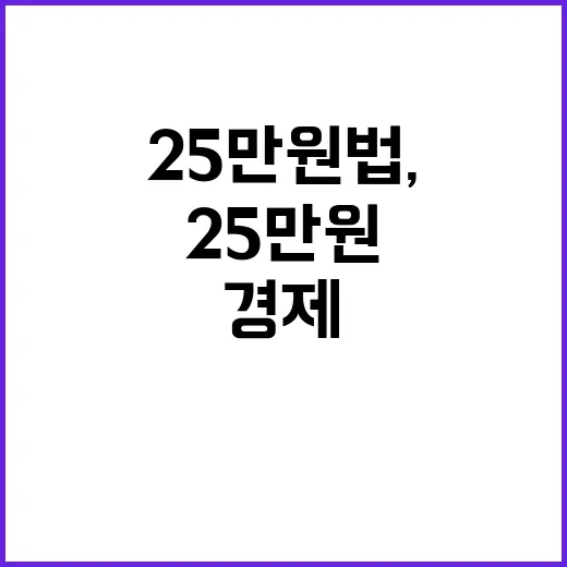 25만원법, 경제에…