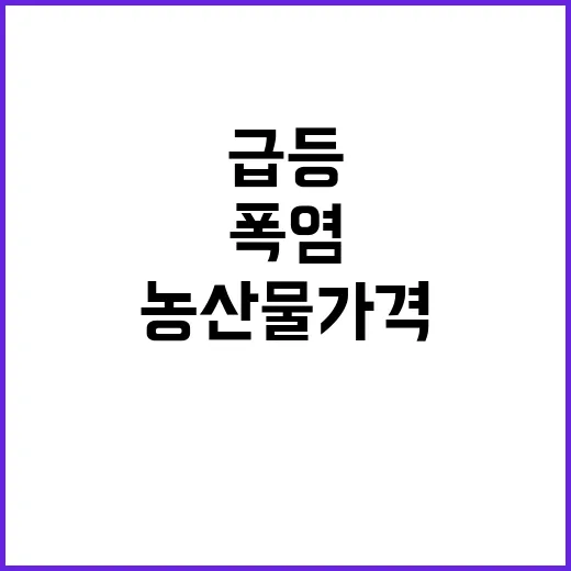 폭우 뒤 폭염, 농…