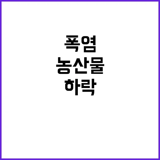 폭염, 농산물 가격…