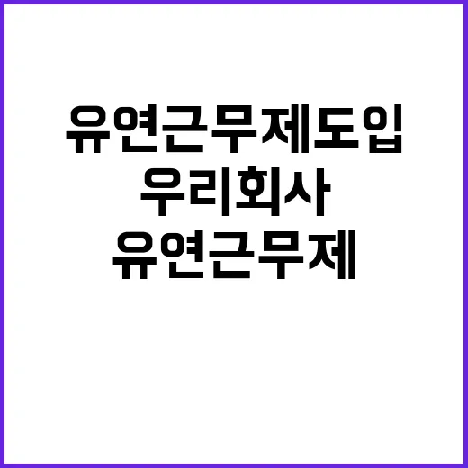 유연근무제 도입, 우리 회사도 가능할까?