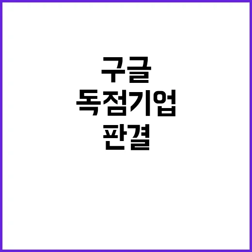 구글 독점기업 판결…