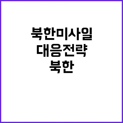 북한 미사일 발사대, 군의 대응 전략은?