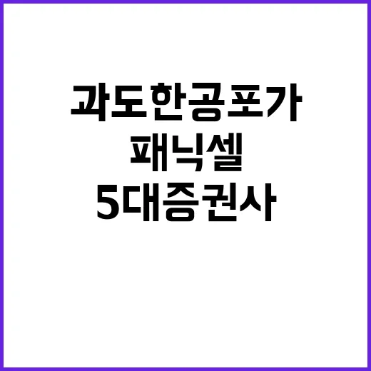 패닉셀, 과도한 공…