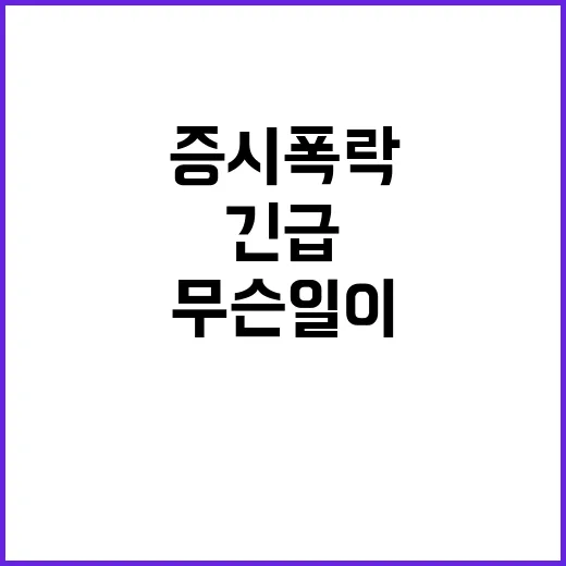 증시 폭락…긴급 시…