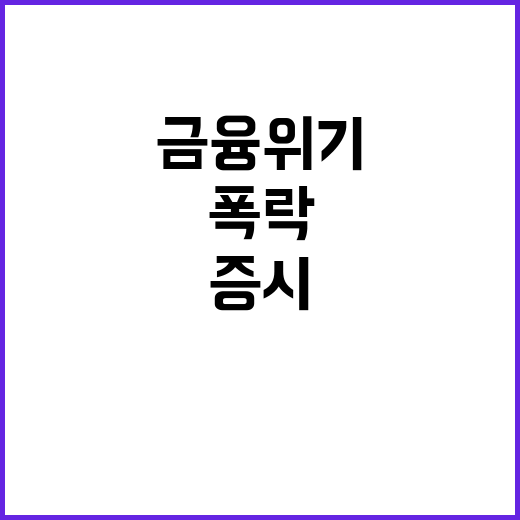 증시 폭락, 금융위…