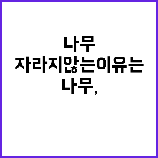 하늘 월가의 나무,…