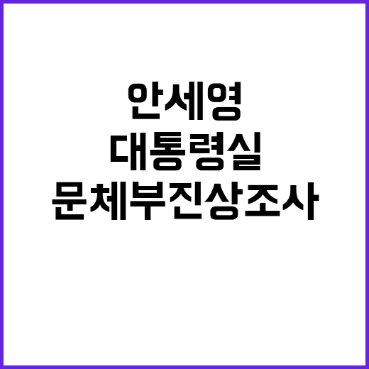 안세영, 대통령실 문체부 진상조사 발표 소식!