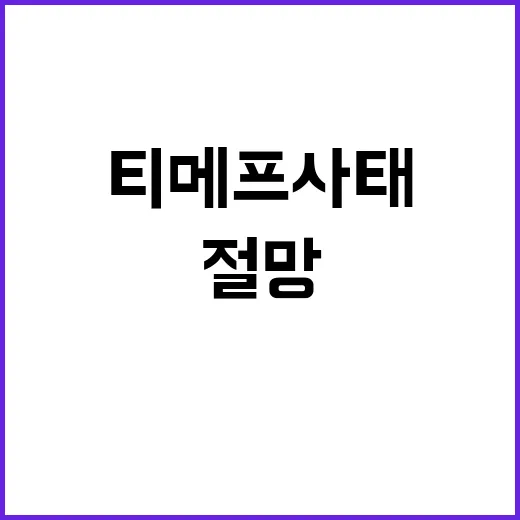 티메프 사태, 판매…