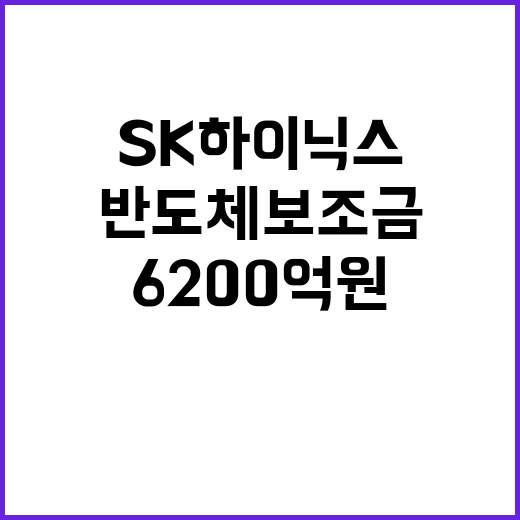 반도체 보조금, SK하이닉스의 6200억원 기부!