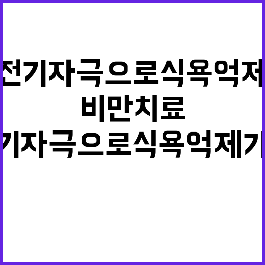 비만 치료, 전기 자극으로 식욕 억제 가능!