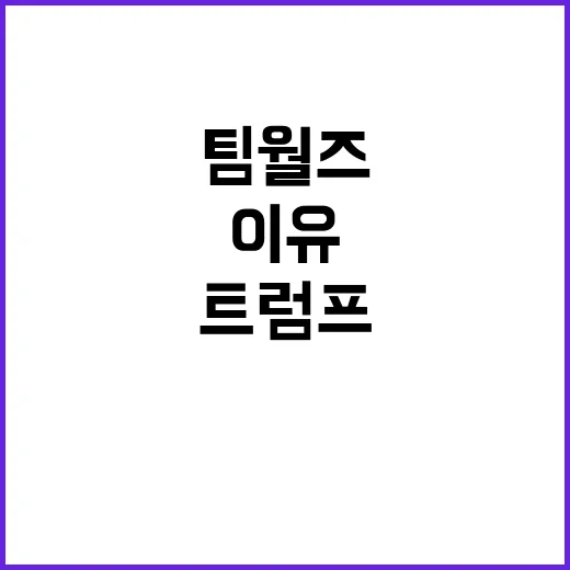 강공 팀 월즈, 트럼프·밴스 지독하게 이상한 이유!