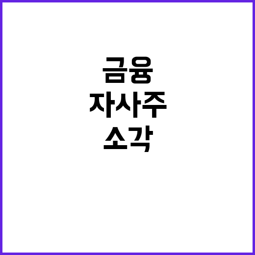 자사주 소각, KB…