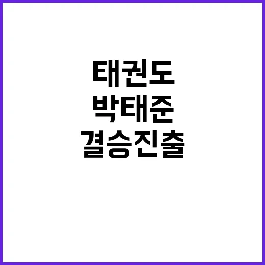 태권도 금메달, 박…