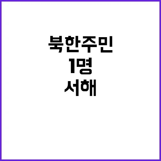 서해 귀순, 북한 …