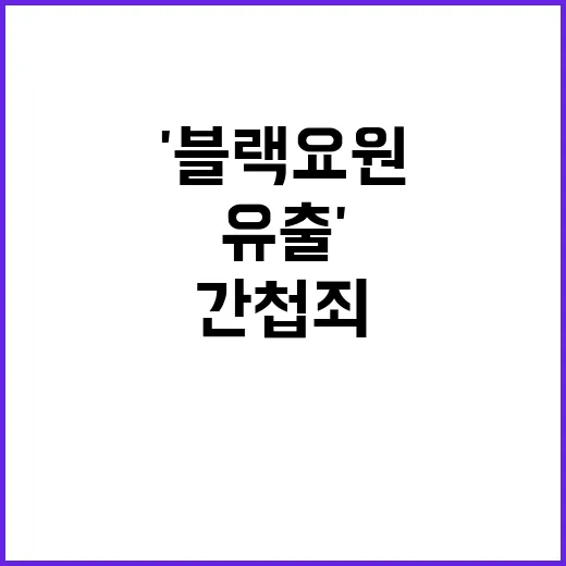 '블랙요원 유출' 간첩죄, 검찰 송치 충격 사실!