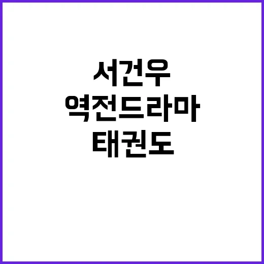 금메달 탄생 태권도…